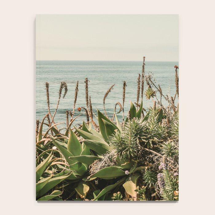 Coastal Agave Notebook Gallery Image 4