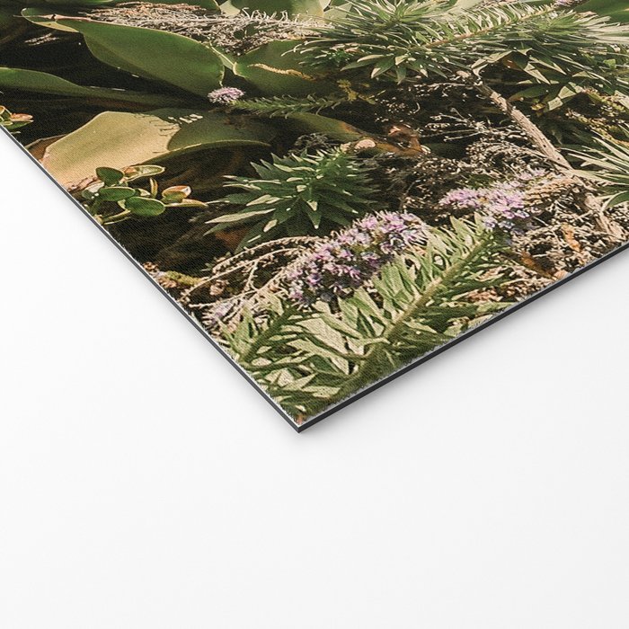 Coastal Agave Welcome Mat Gallery Image 2