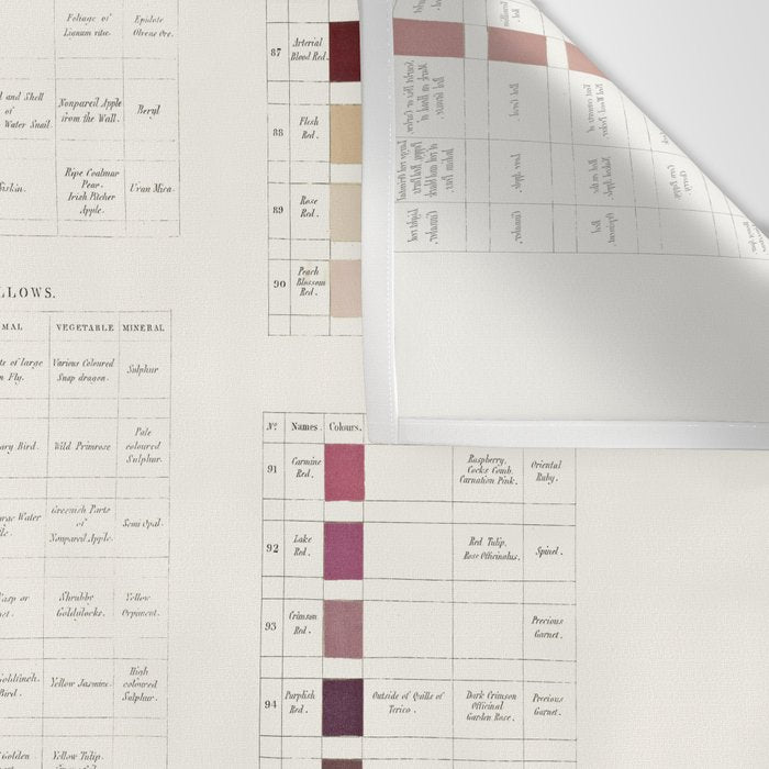 Werner's nomenclature of colour Version II Wall Tapestry Gallery Image 3