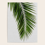 Palm Leaf I Poster Gallery Image 4