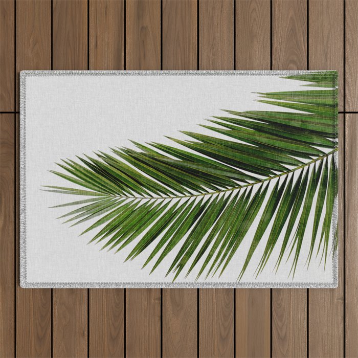 Palm Leaf I Outdoor Rug Gallery Image 1