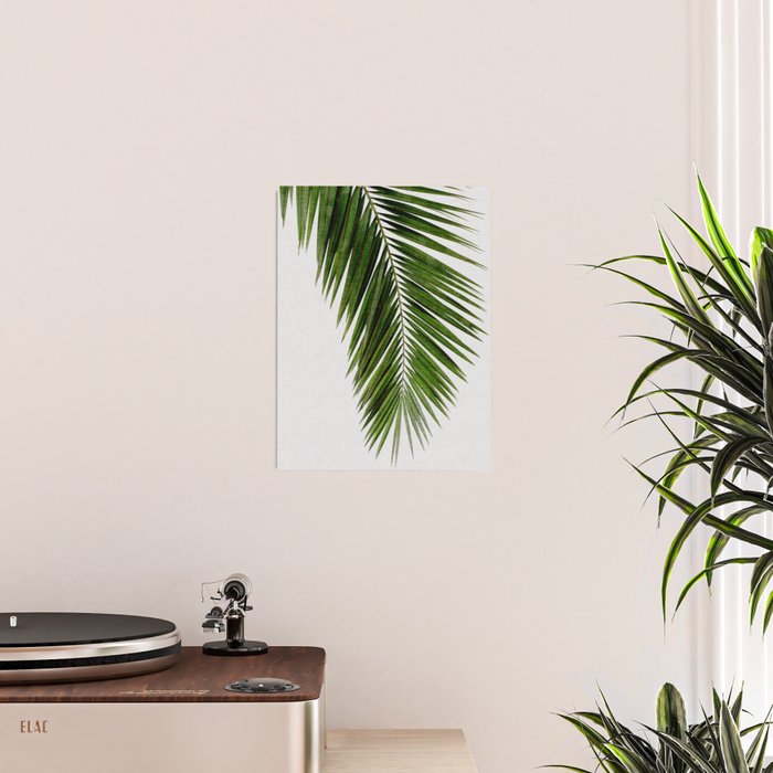 Palm Leaf I Poster Gallery Image 2