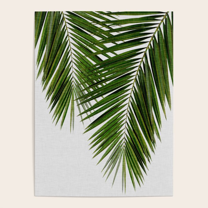 Palm Leaf II Poster Gallery Image 4