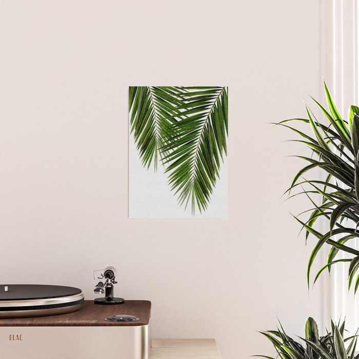 Palm Leaf II Poster Gallery Image 2