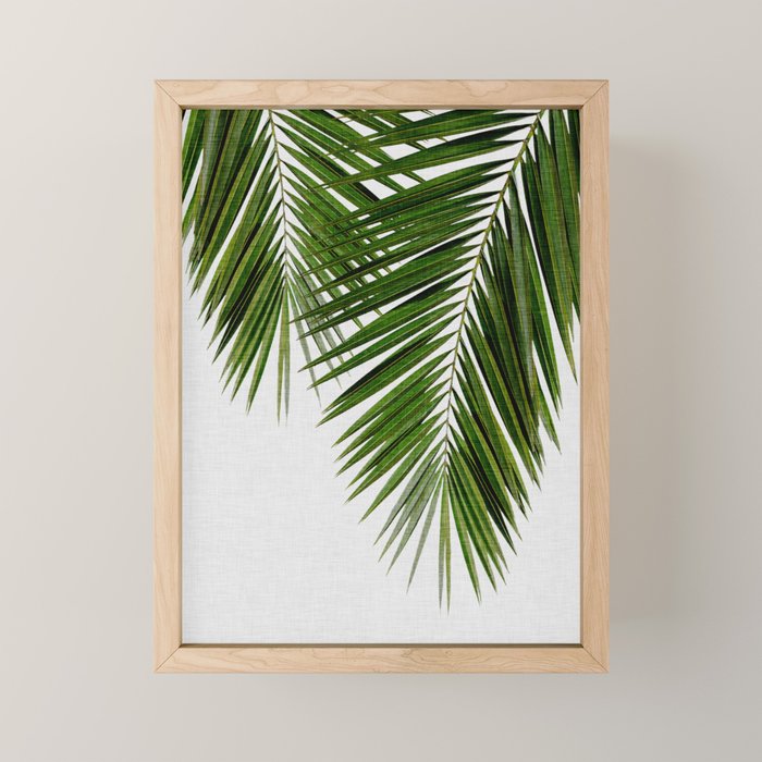 Palm Leaf II Mini Art Print Gallery Image 1
