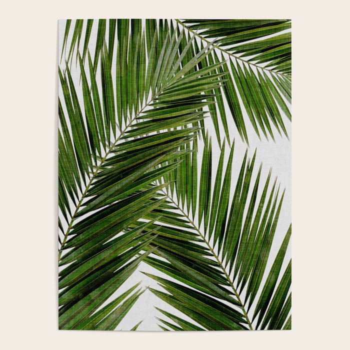 Palm Leaf III Poster Gallery Image 4