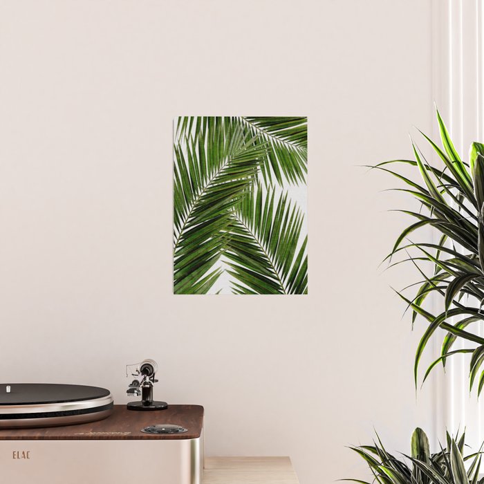 Palm Leaf III Poster Gallery Image 2