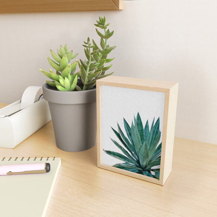 Agave Cactus Mini Art Print Gallery Image 2
