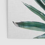 Agave Cactus Poster Gallery Image 3