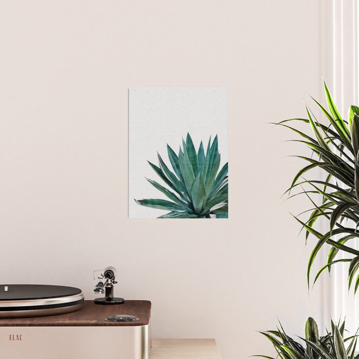 Agave Cactus Poster Gallery Image 2