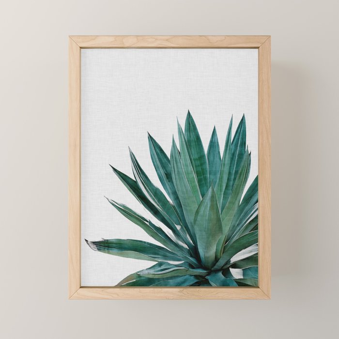 Agave Cactus Mini Art Print Gallery Image 1