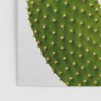 Heart Cactus Poster Gallery Image 3
