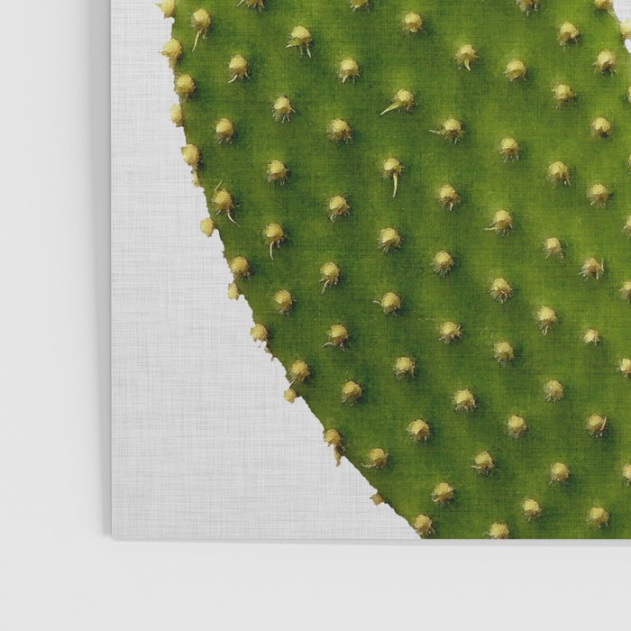 Heart Cactus Poster Gallery Image 3