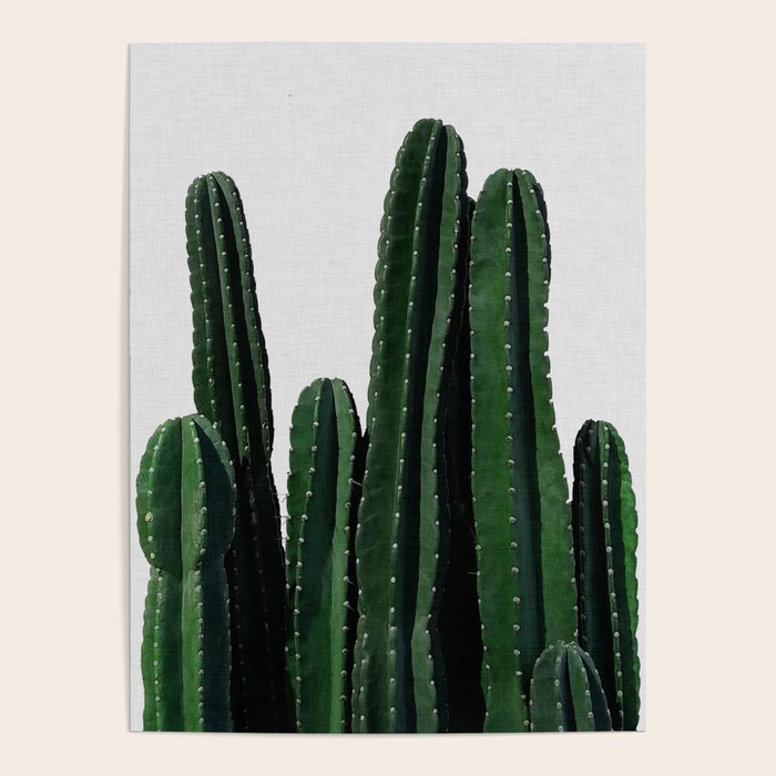 Cactus I Poster Gallery Image 4
