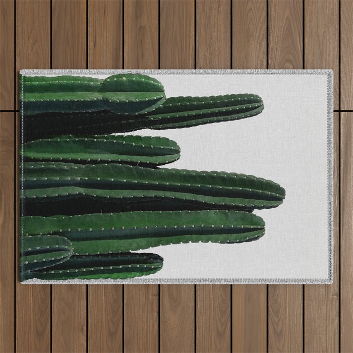 Cactus I Outdoor Rug Gallery Image 1