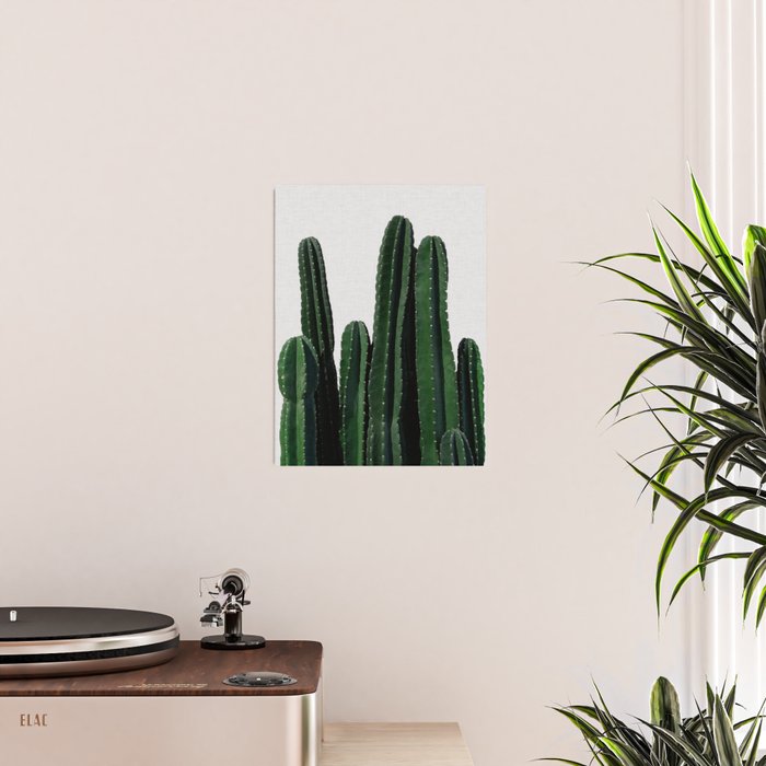 Cactus I Poster Gallery Image 2
