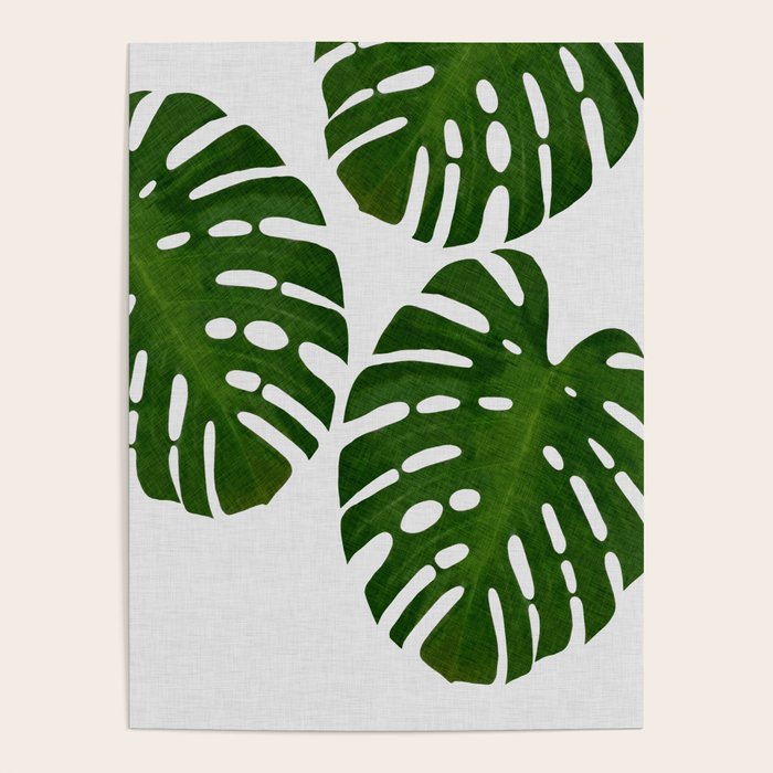 Monstera Leaf III Poster Gallery Image 4