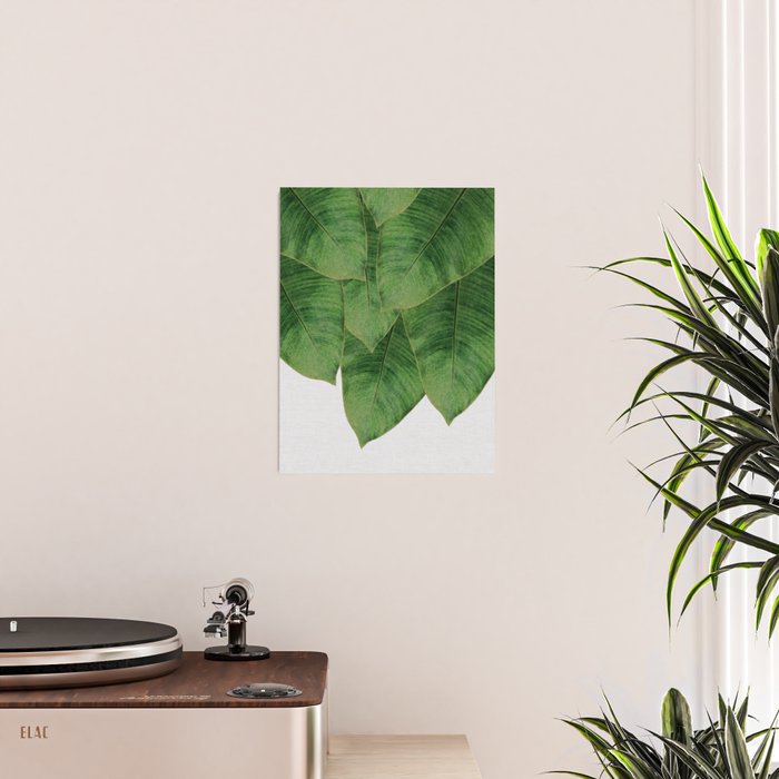 Banana Leaf III Poster Gallery Image 2