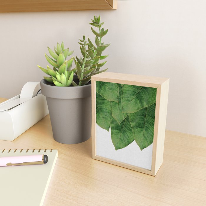 Banana Leaf III Mini Art Print Gallery Image 2