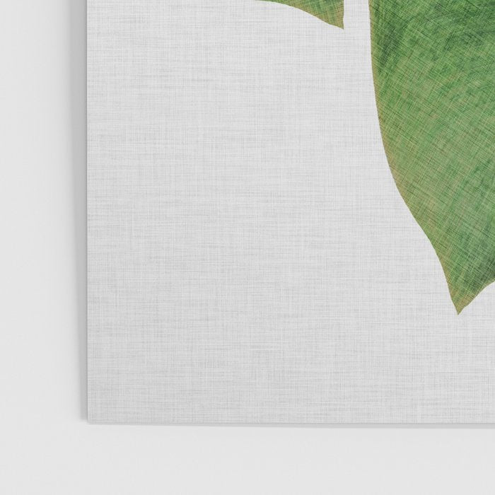 Banana Leaf III Poster Gallery Image 3