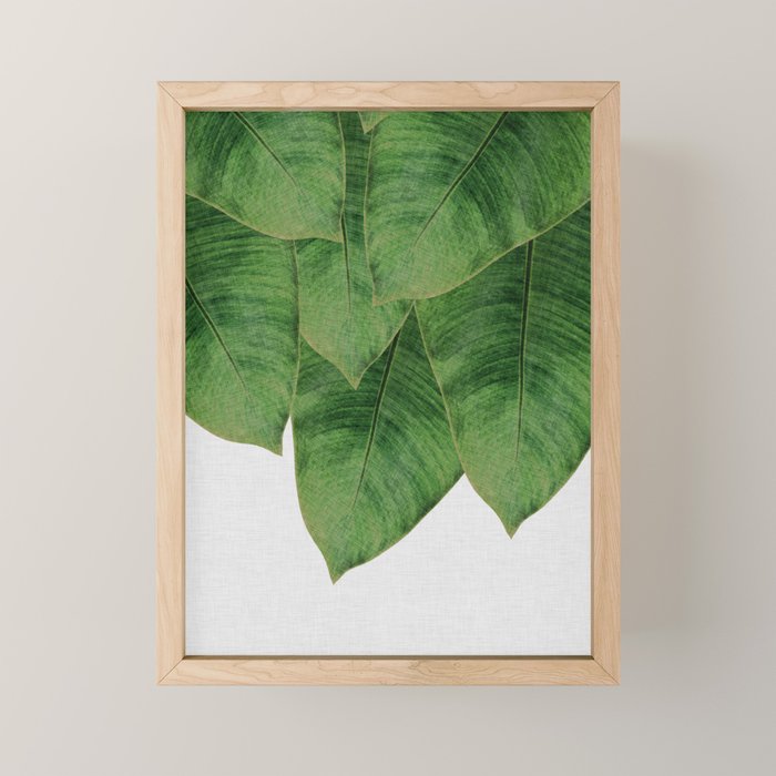 Banana Leaf III Mini Art Print Gallery Image 1