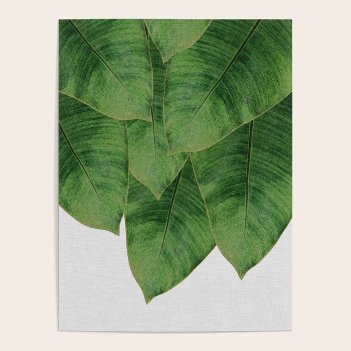 Banana Leaf III Poster Gallery Image 4