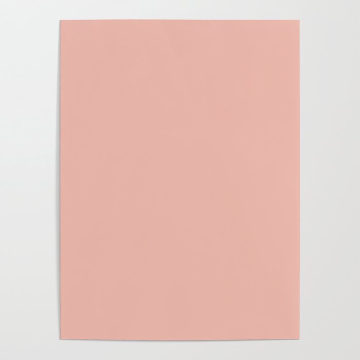 Dusty Blush Pink Solid Colour Poster Gallery Image 4