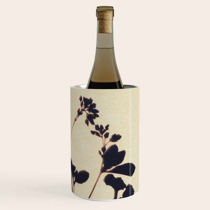 Magic in the Ordinary #12 / Light Wine Chiller Gallery Image 3