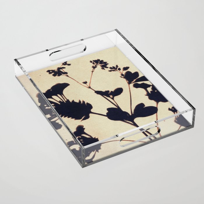 Magic in the Ordinary #12 / Light Acrylic Tray Gallery Image 1