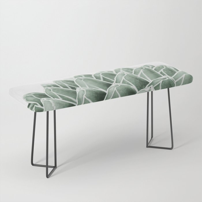 Succulent splendour Bench Gallery Image 1