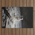 Astronaut Outdoor Rug Gallery Image 1