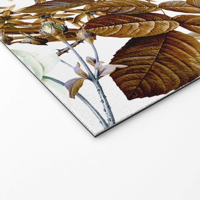 SUMMER BOTANICAL VIII Welcome Mat Gallery Image 2