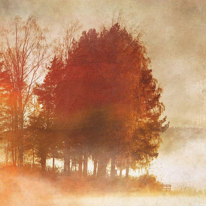 Autumn Mist Coffee Mug Gallery Image 2