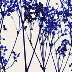 babys breath 1 Coffee Mug Gallery Image 2