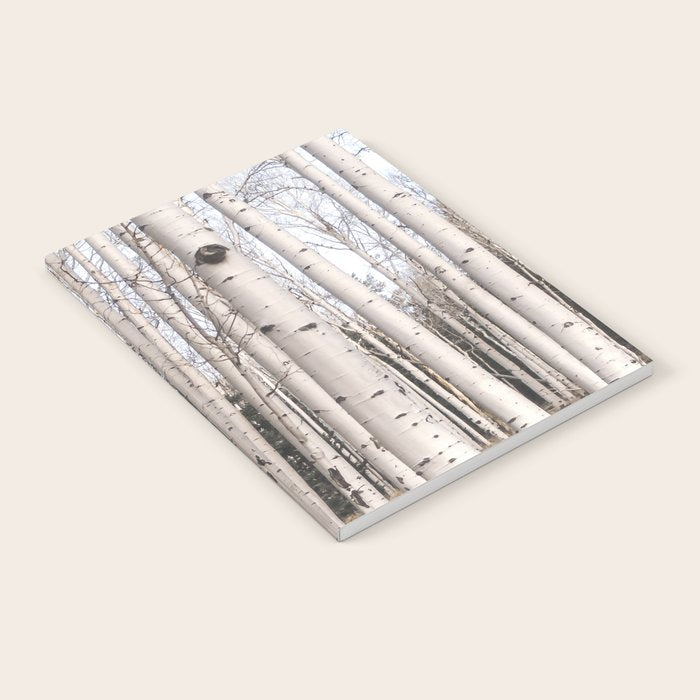 Tall Birch Forest Notebook