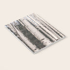 Tall Birch Forest Notebook Gallery Image 3