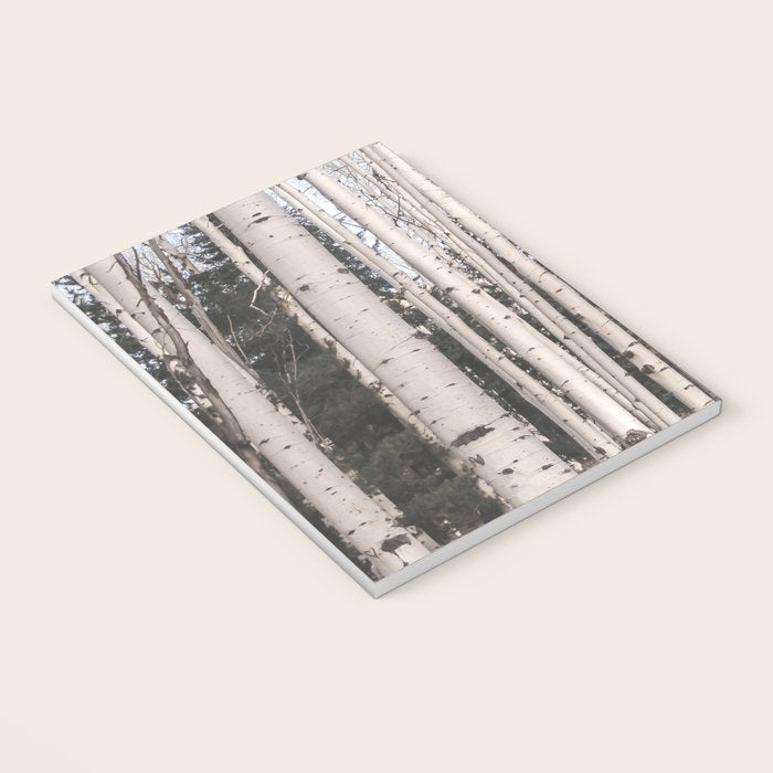 Tall Birch Forest Notebook Gallery Image 3