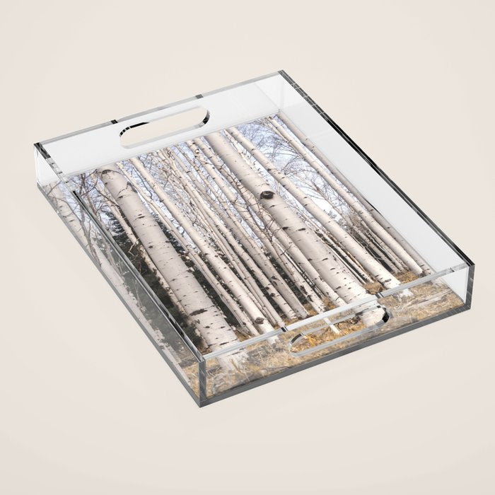 Tall Birch Forest Acrylic Tray Gallery Image 1