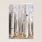 Tall Birch Forest Stationery Card Gallery Image 2