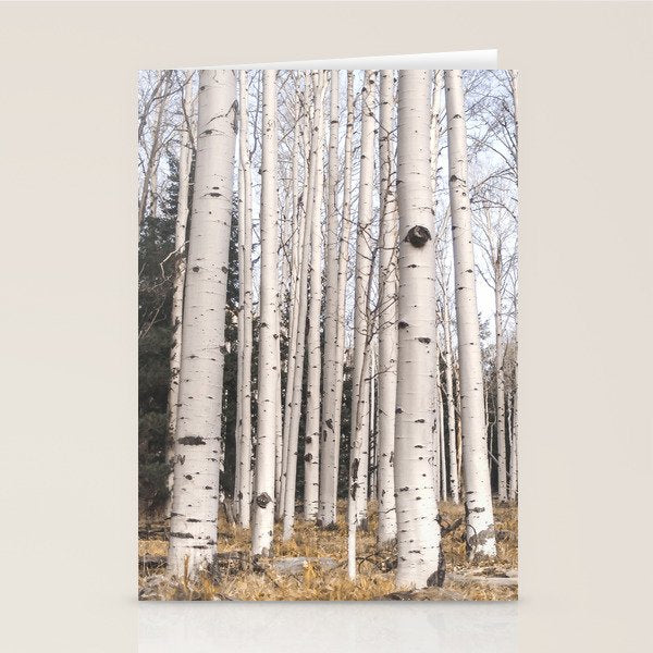 Tall Birch Forest Stationery Card Gallery Image 2
