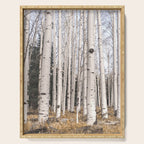 Tall Birch Forest Serving Tray Gallery Image 1
