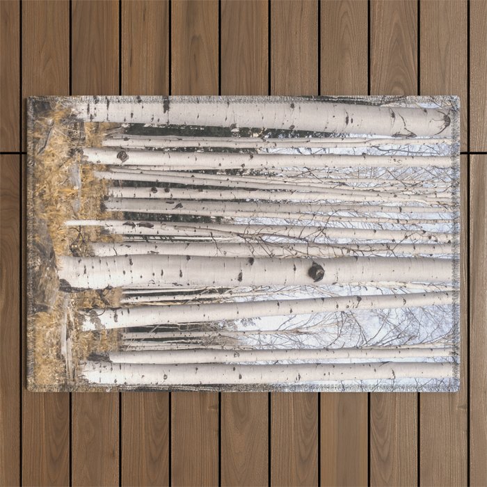 Tall Birch Forest Outdoor Rug Gallery Image 1