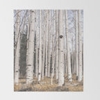 Tall Birch Forest Throw Blanket Gallery Image 2