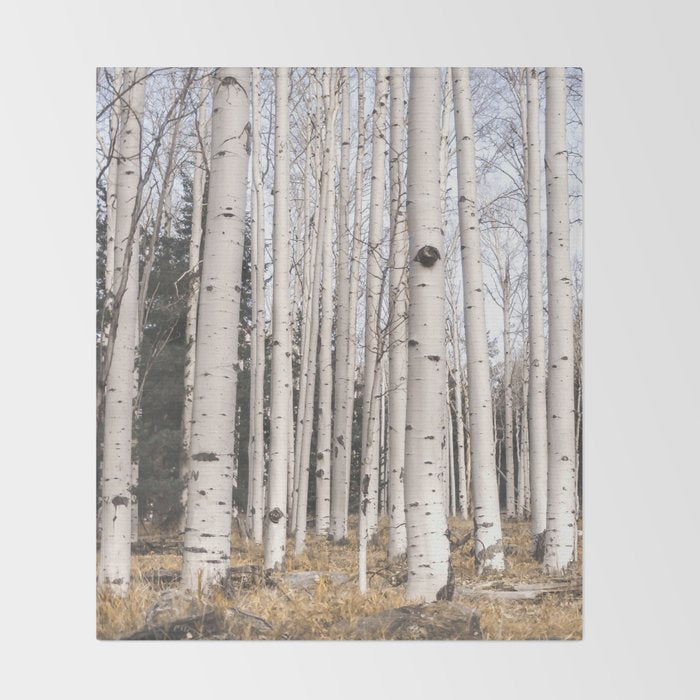 Tall Birch Forest Throw Blanket Gallery Image 2