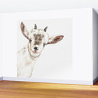 Oh My Sneaky Goat Wall Mural Gallery Image 2