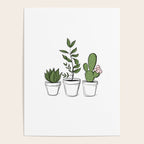 Three Little Succulents Poster Gallery Image 4