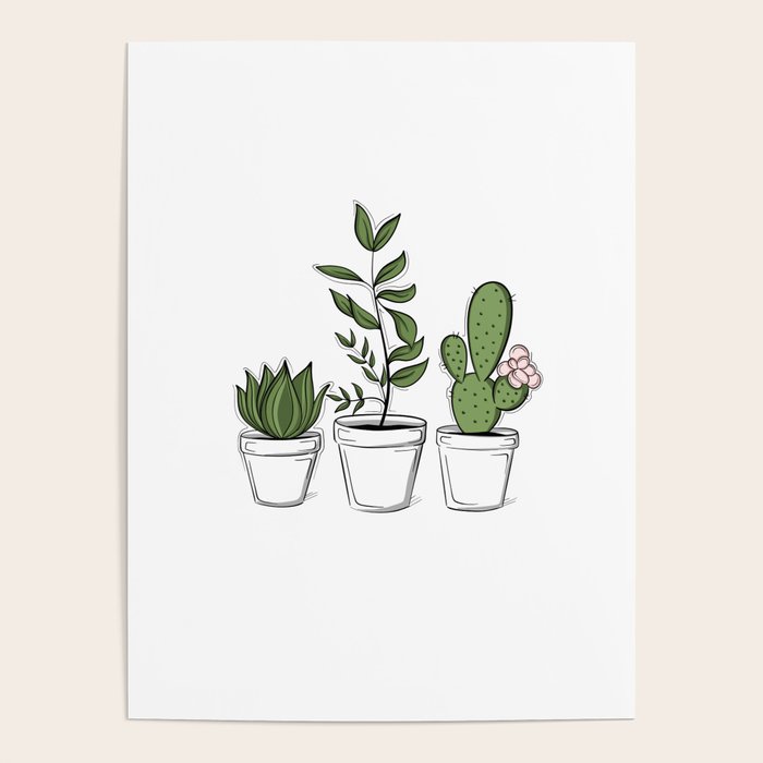 Three Little Succulents Poster Gallery Image 1