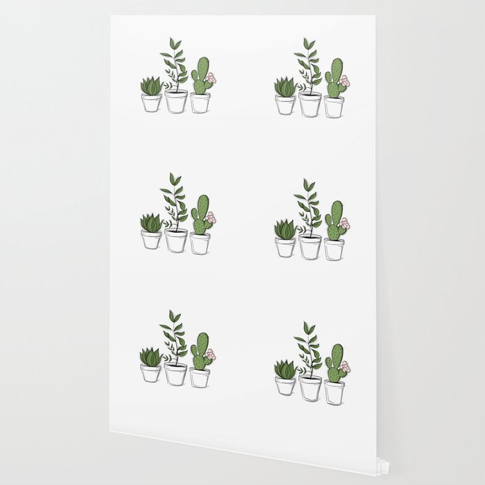 Three Little Succulents Wallpaper Gallery Image 2