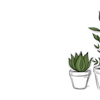 Three Little Succulents Coffee Mug Gallery Image 2