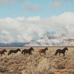 Running Reservation Horses Coffee Mug Gallery Image 2